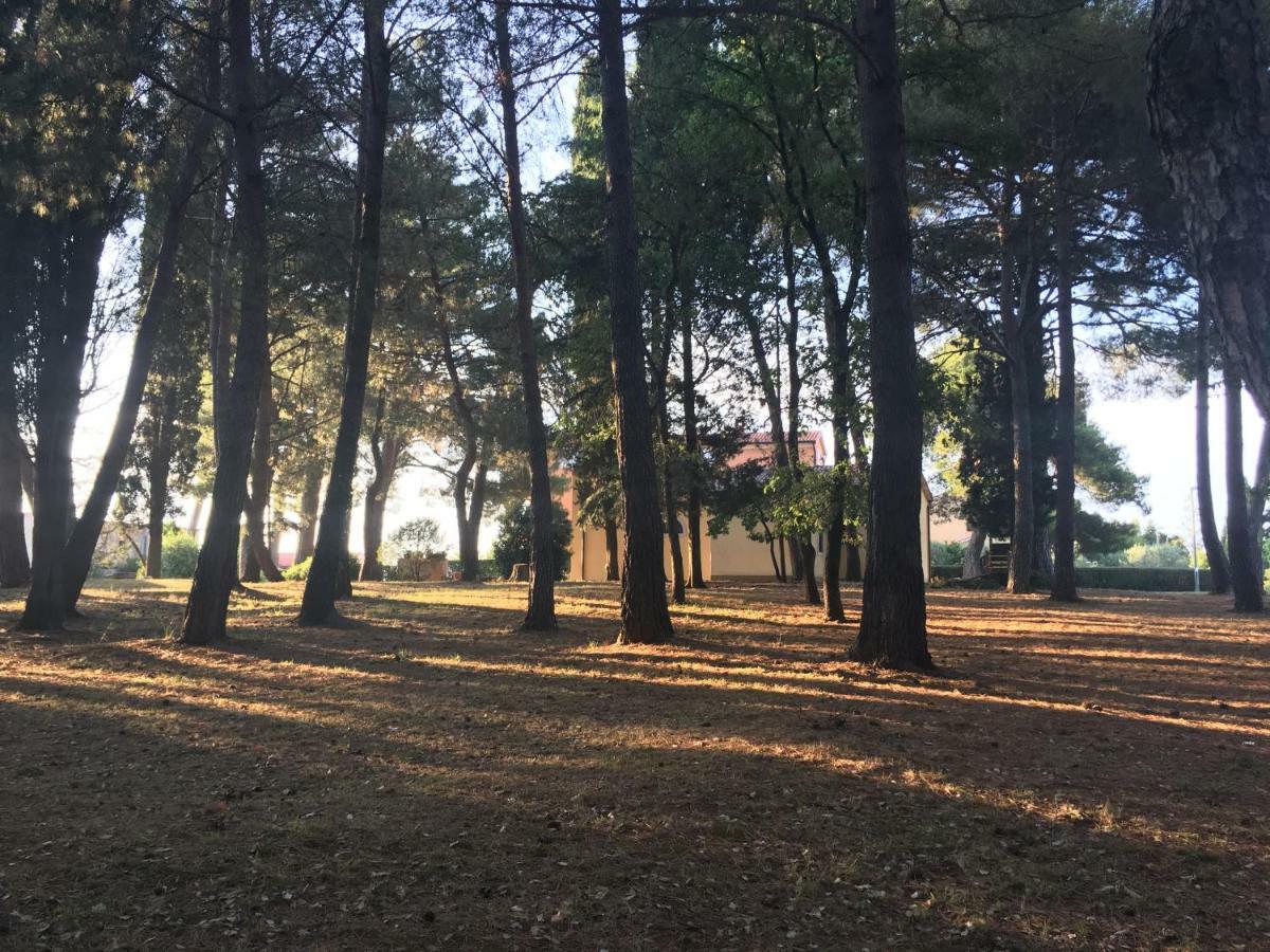 Pribetic Apartments Poreč Buitenkant foto